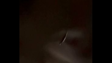 Polakito - update #15 - IMG 0849 - Apr 06, 2026