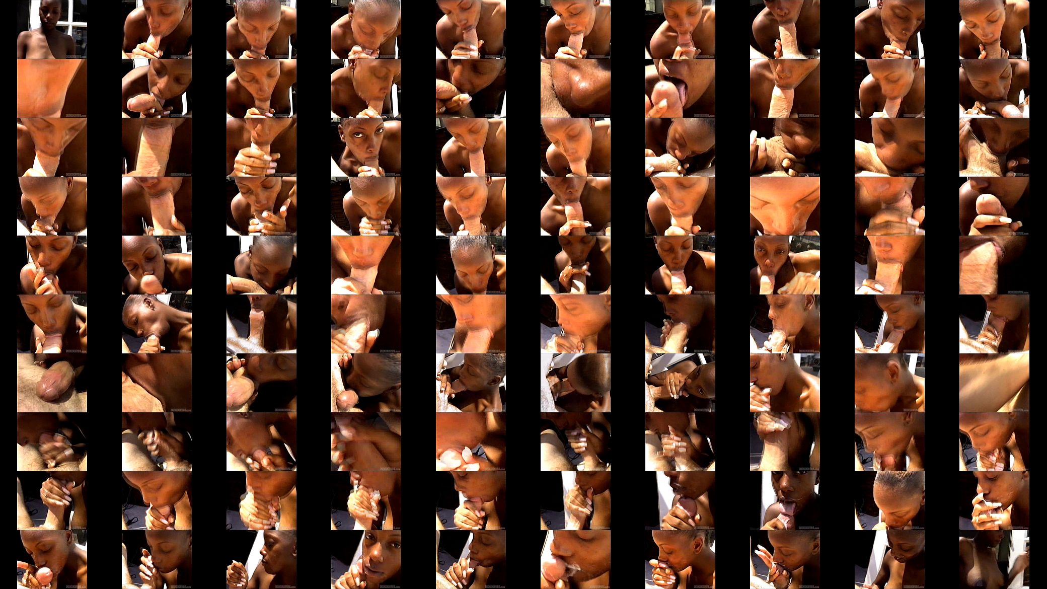 Ebony blowjob 预览图