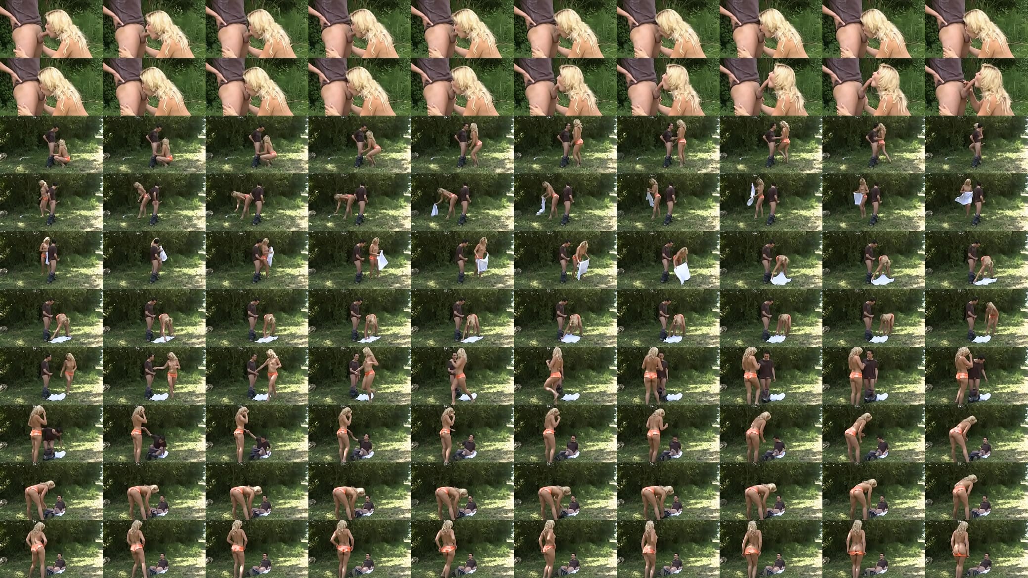 Beautiful blondie gets her ass fucked in forest 预览图