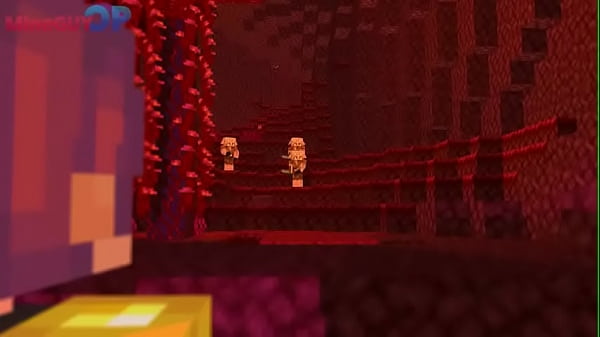 Minecraft gay
