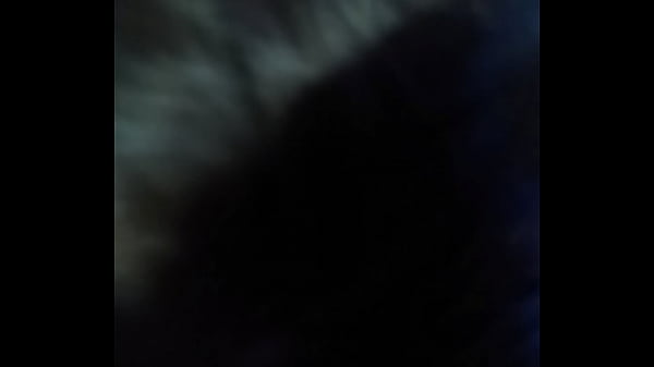 VID 20171123 104326