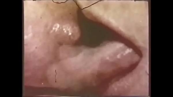 Hot vintage cuties lick girlfriend's wet hairy pussy and lick cream off big tits