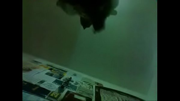 Filapotheigeandgirls600