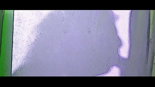 blowjob
