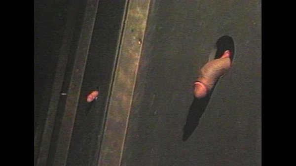 Download Video - Pacific Sun - Nubian Hores 1 2 - scene 1