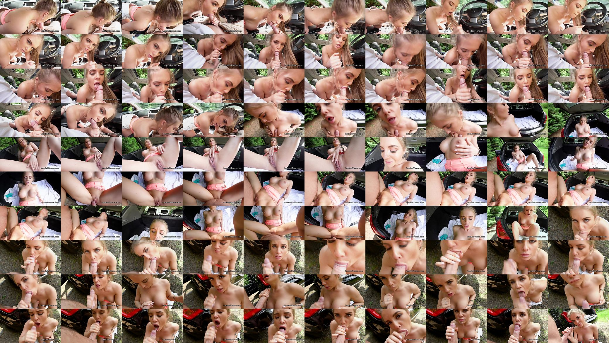 Busty teen tits job and fuck in car 预览图