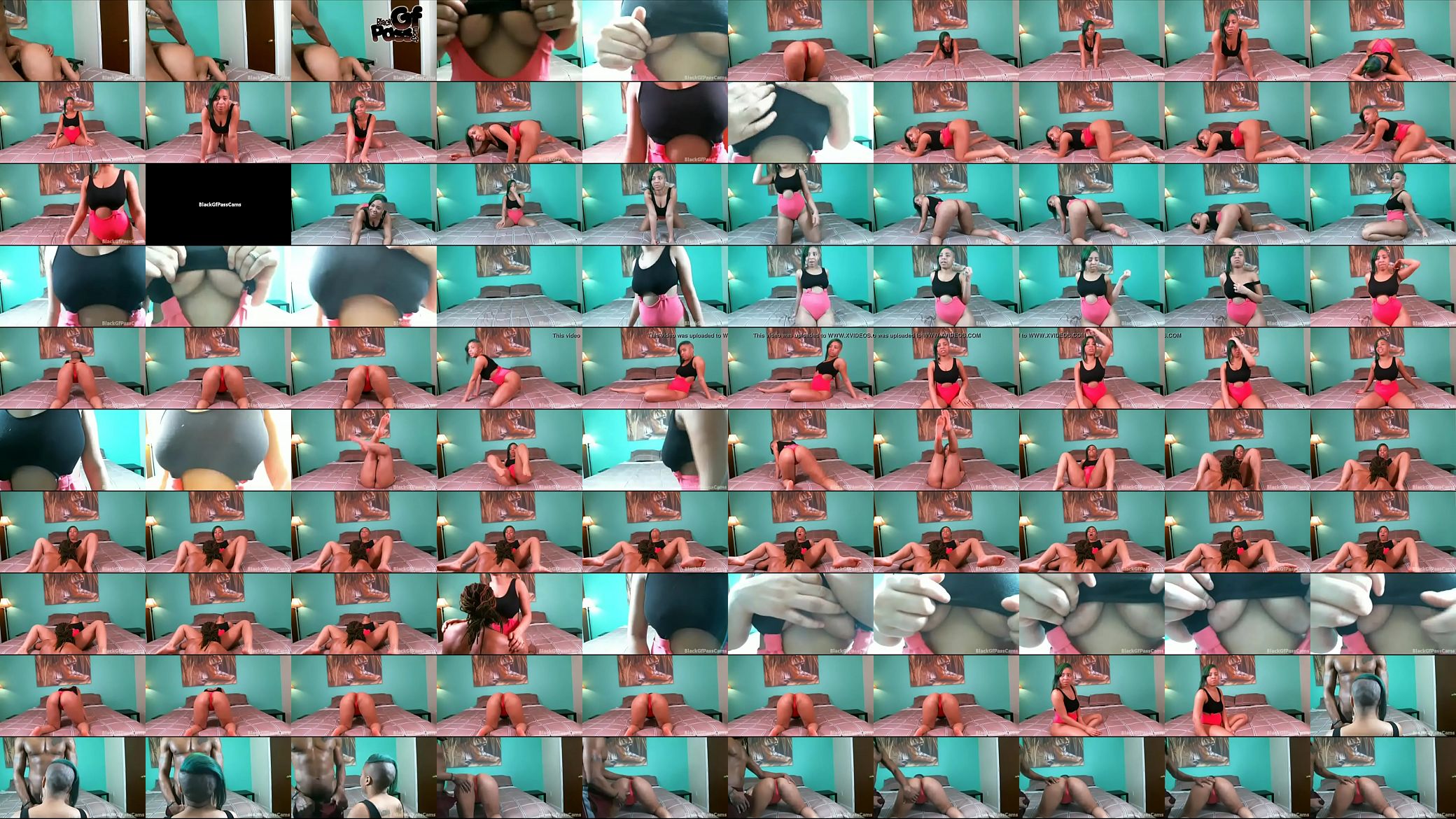 SEXY REDBONE GF 预览图