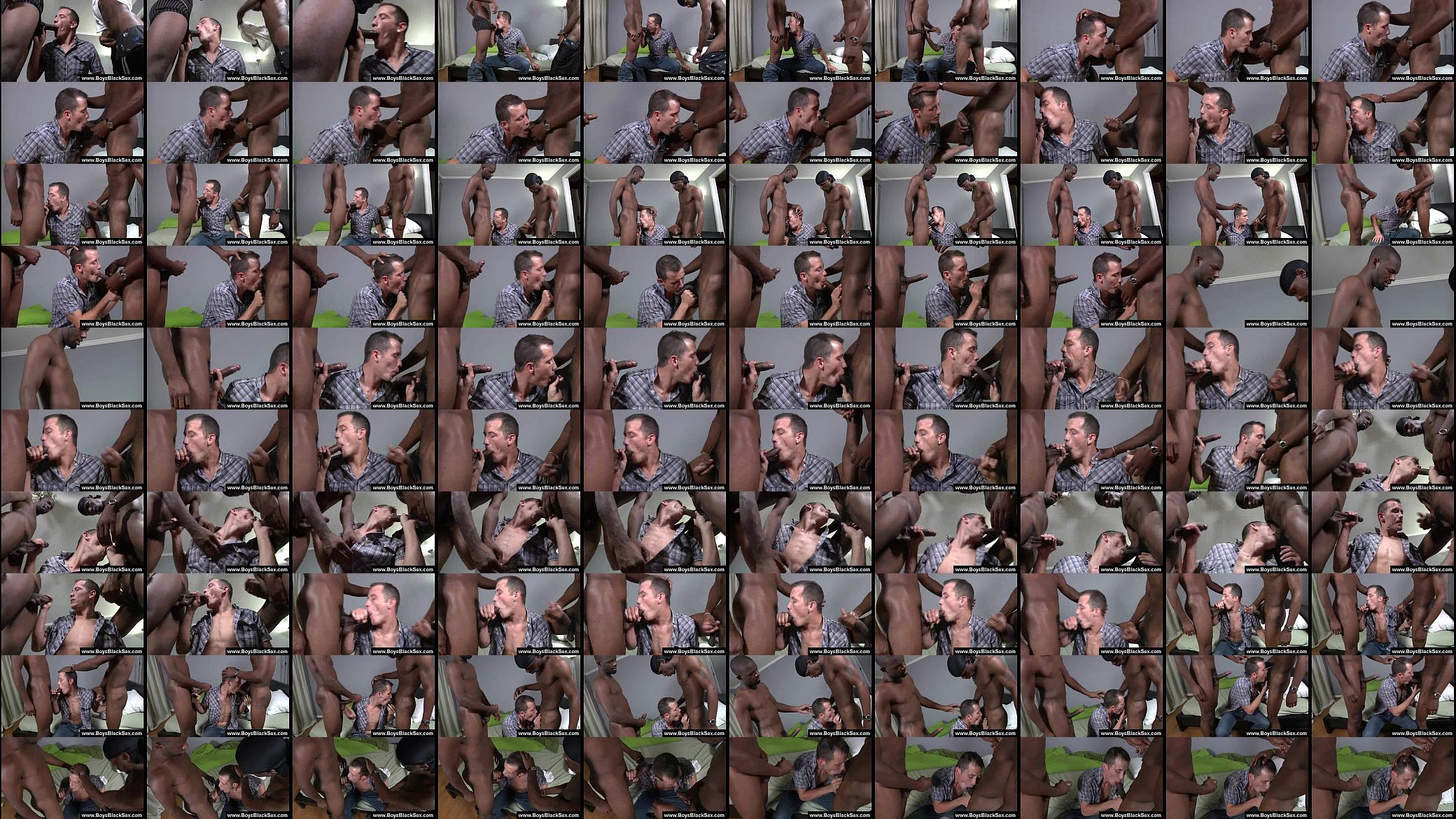 Black Gay Porn - Black Dudes Gay Hardcore Fuck 23 预览图