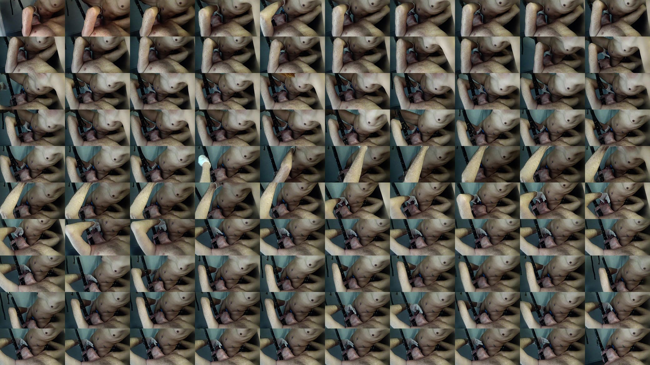 Zena         8 3 23 预览图