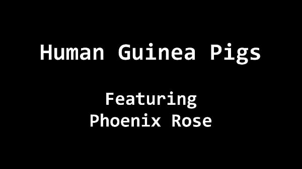 "Human Guinea Pig" Busty Latina Phoenix Rose Becomes Subject For Experiments By Doctor Tampa At Good Samaritan Health Labs, Full Movie BondageClinic.com
