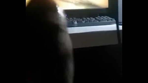 A falta de culos me masturbo