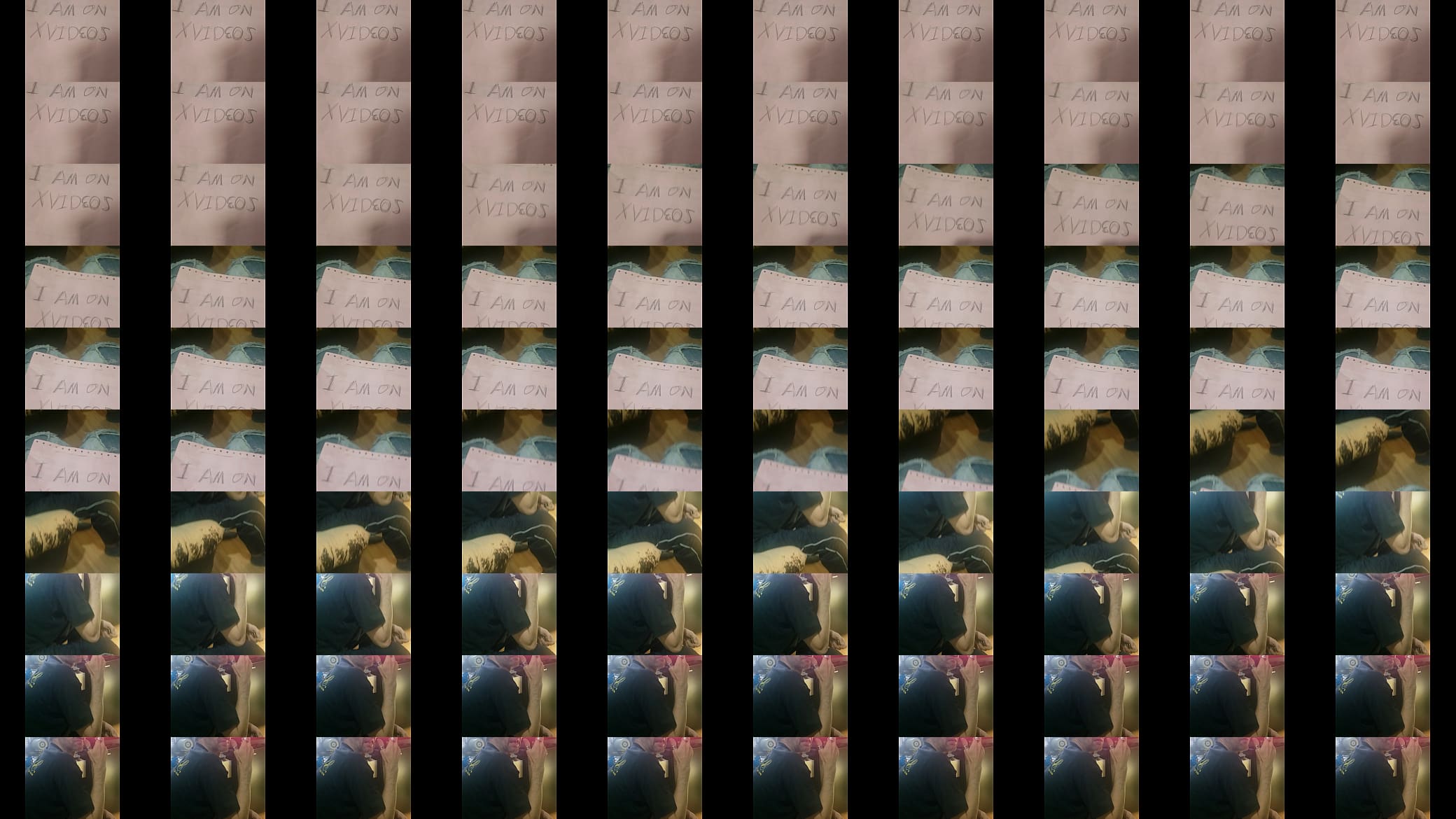 Video de v&eacute;rification 预览图