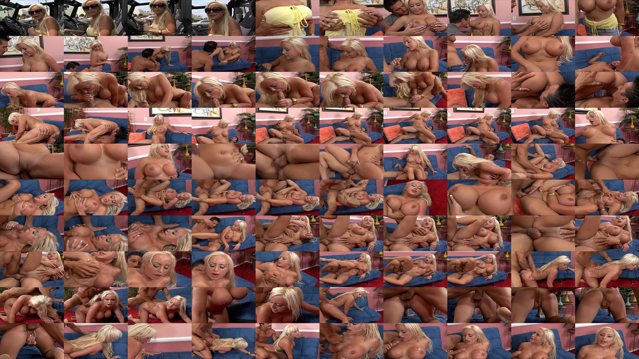 Fucking big tits blonde milf 预览图