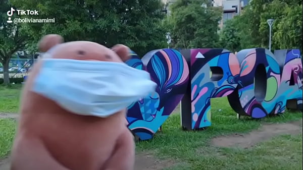 Teddy bear in Porto Alegre...  bolivianamimi