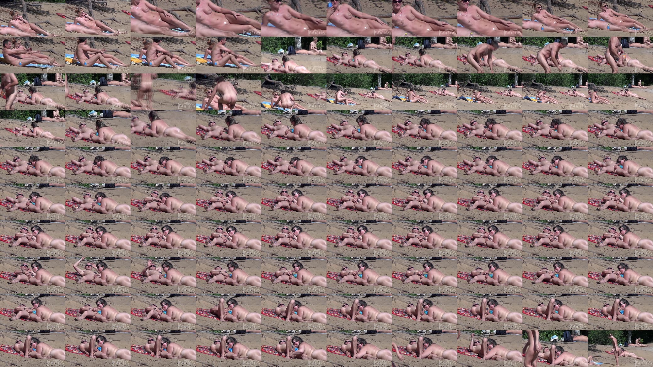 Blowjob on a nudist beach 预览图