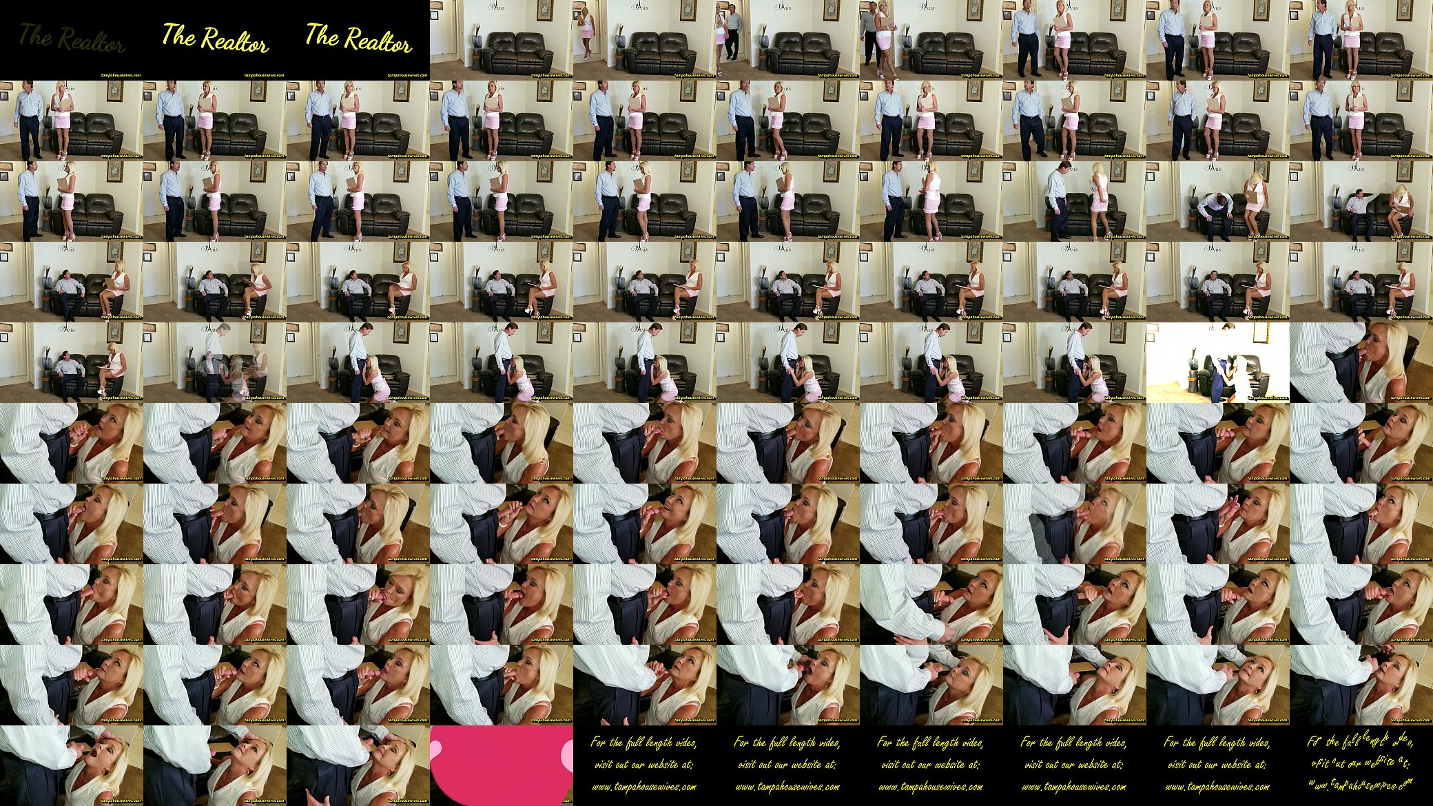 The Realtor 预览图