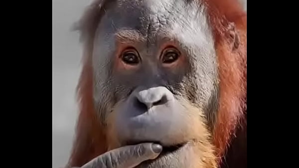 viejo cachondo le gusta el pene