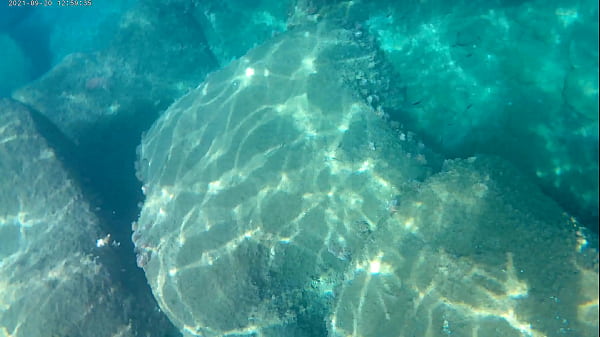 fish eating cum
