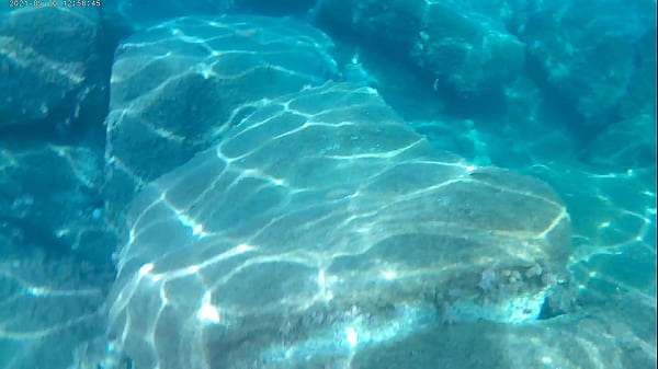 fish eating cum