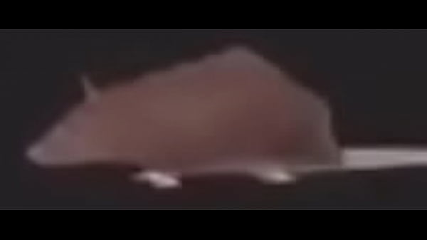 thumb rat