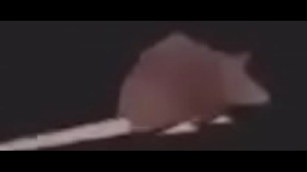 thumb rat