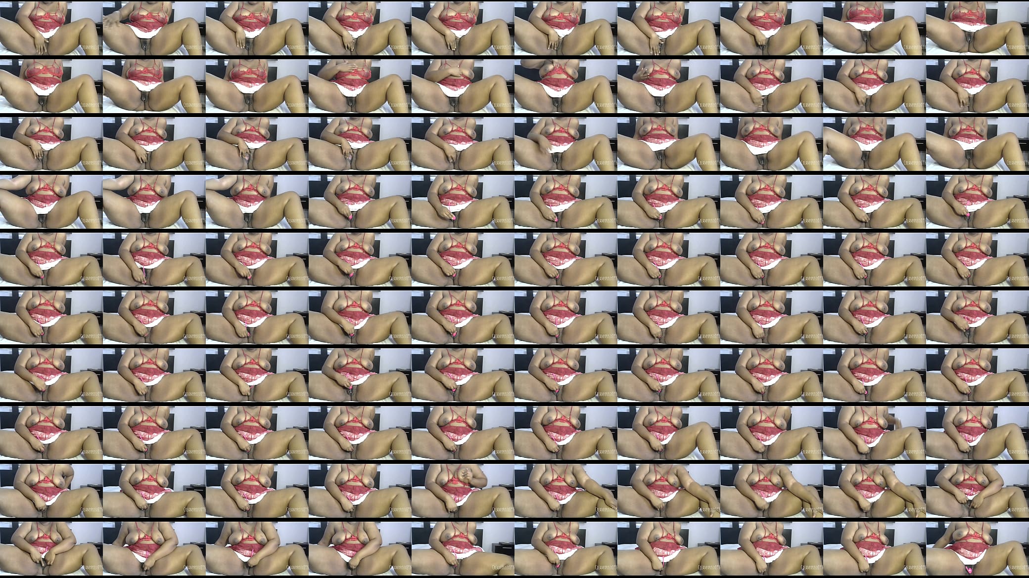 Maid Masturbating for her boss on webcam on Christmas day 预览图