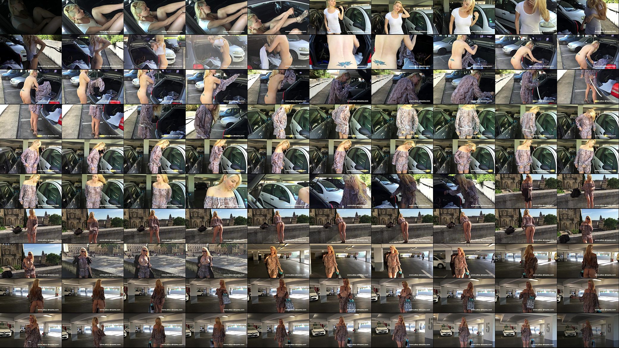 Flashing in public in Avignon 预览图