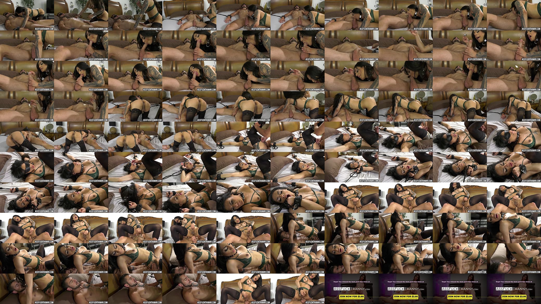 Eva Maxim ass drilled missionary after BJ session 预览图