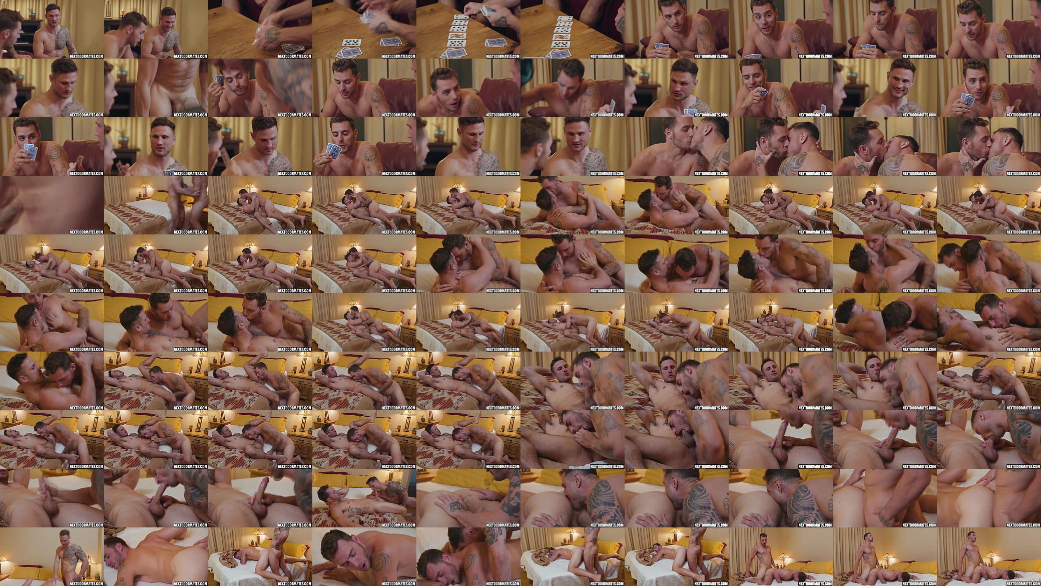Strip poker &amp; gay sex 预览图