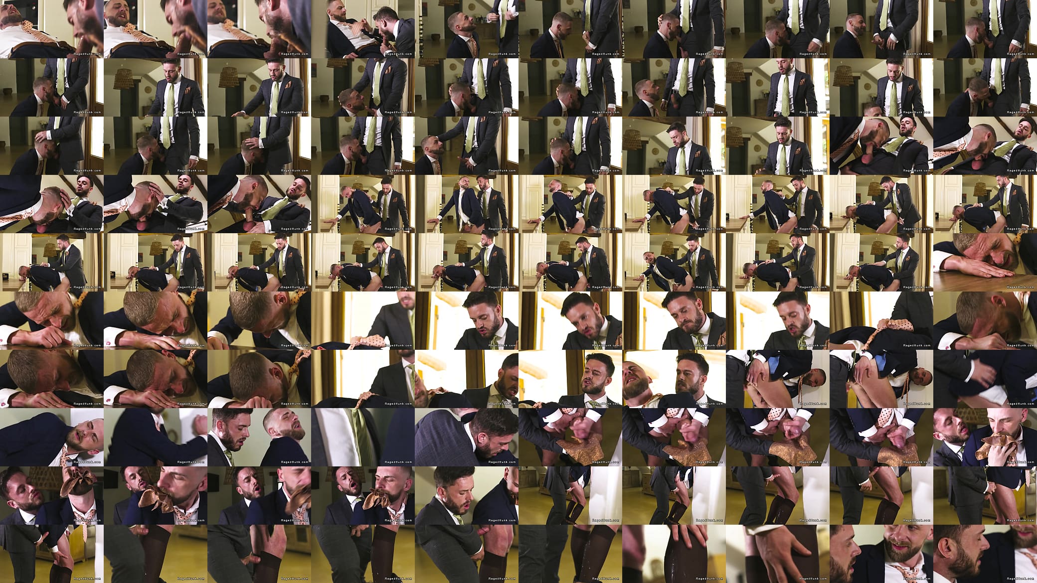 Realtor anal fucked and cummed by client in suit 预览图