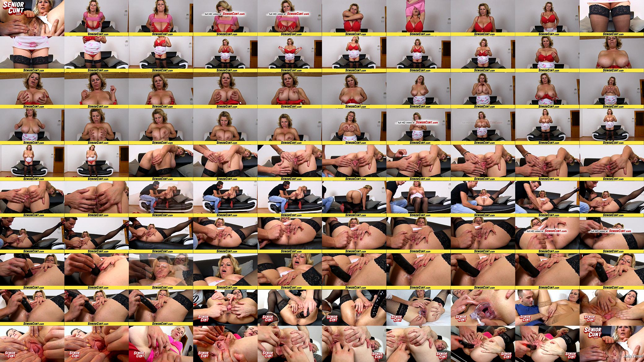 Big tits cougar Silvy Vee pussy widening games 预览图