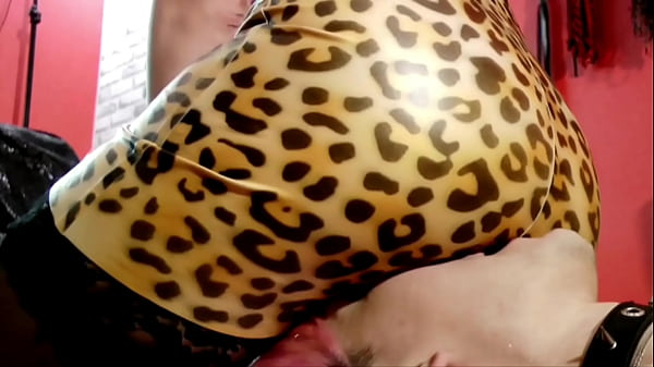 Download Video - Latex dress and latex ass fetish by Dominatrix Nika&period; The slave kisses and licks the ass of Mistress&period;