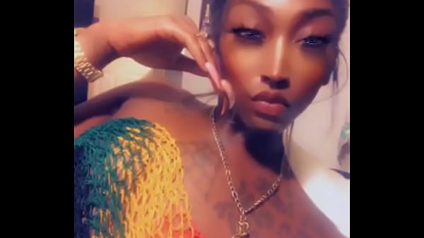 - Update #40 (2025-02-28T08:23:54.000Z)