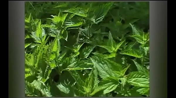 Download Video - Mature naked slave t&period; by mistress