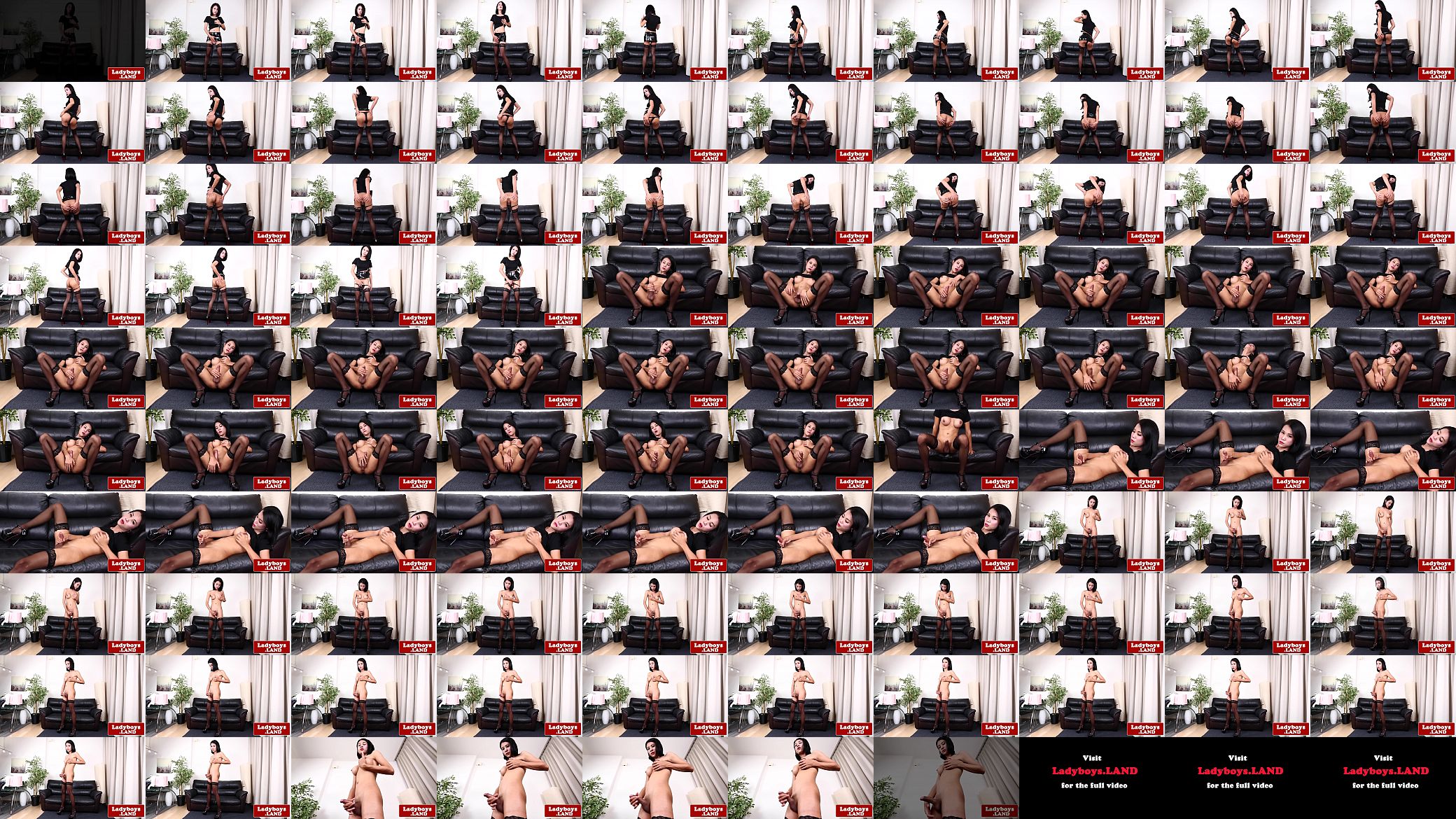 Stunning busty ladyboy strips and jerks solo 预览图