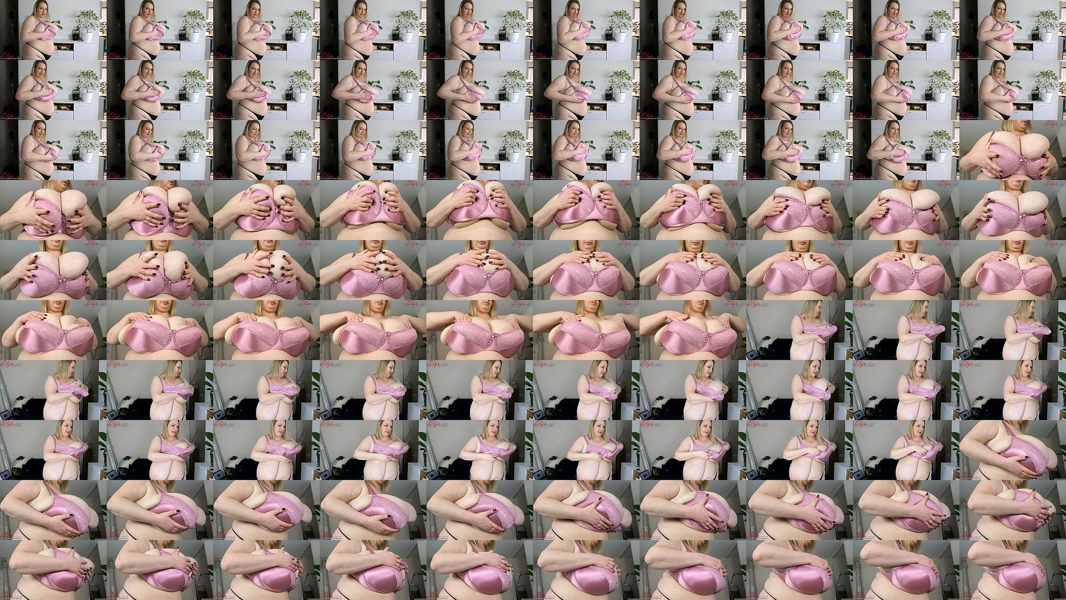 Stuffed in pink bra 预览图