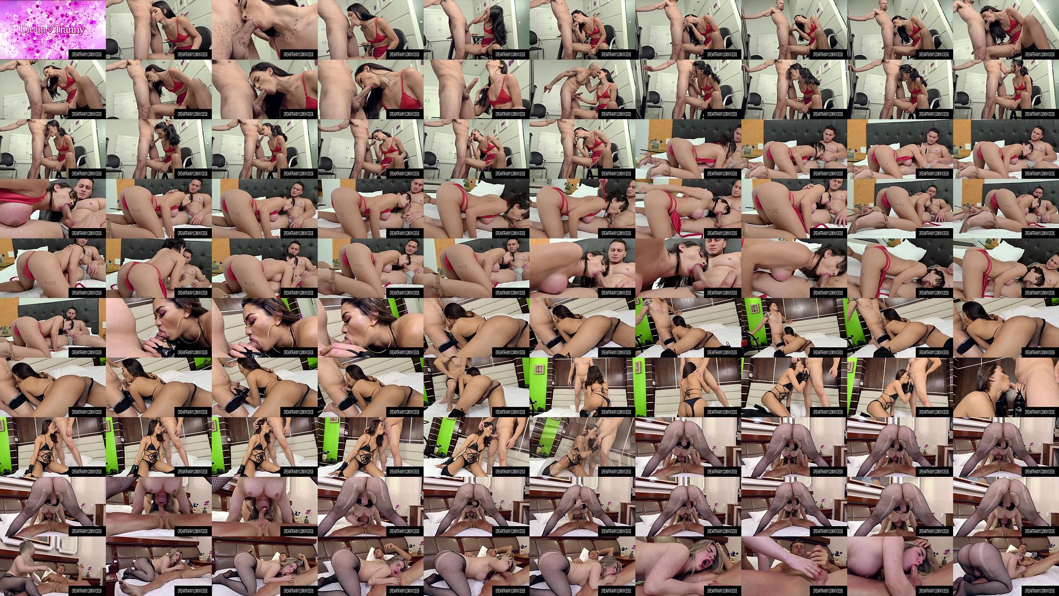 Dream Tranny - Shemale Blowjobs Compilation Part 35 预览图