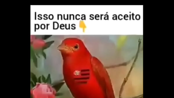 Flamengo nunca será aceito por Deus !