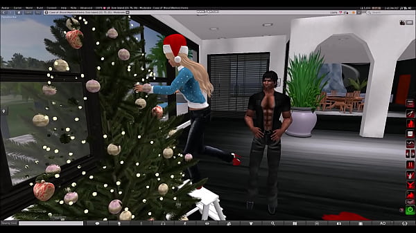 Cassi's Secondlife Christmas Surprise