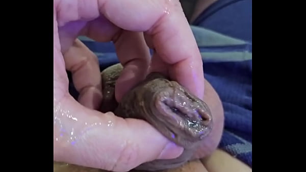 Download Video - MEU PENIS FEIO E PEQUENO APOS EU GOZAR