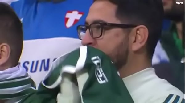 Galinha mamando o porco
