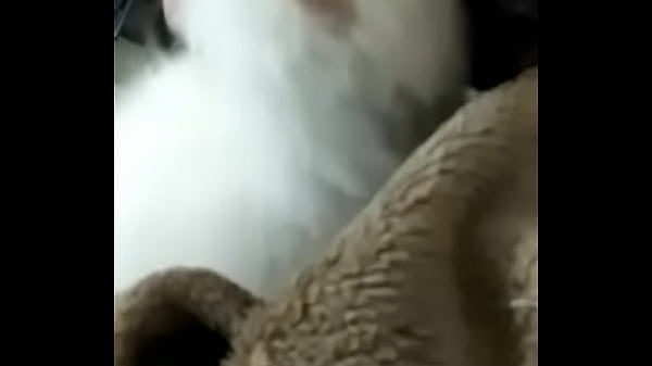 7367
