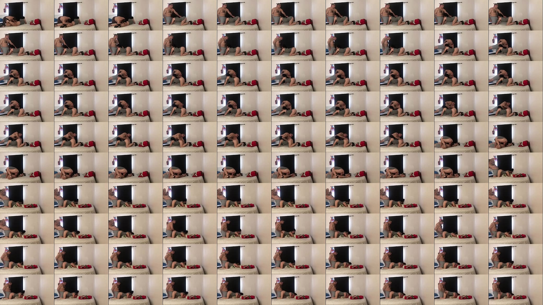 Verification video 预览图