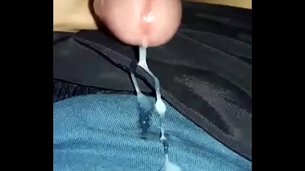 Download Video - Paja final