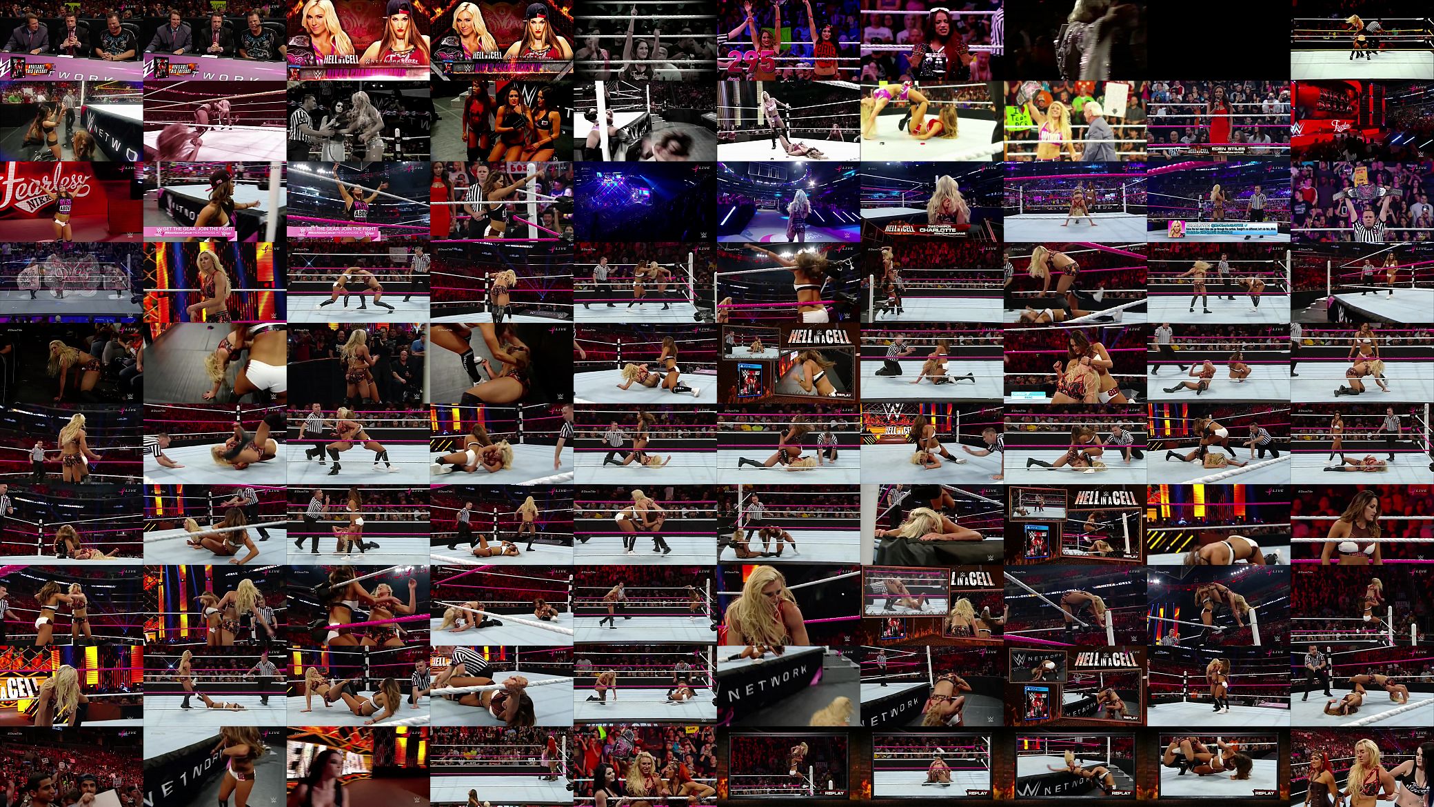 Nikki Bella vs Charlotte. Hell in a Cell 2015. 预览图