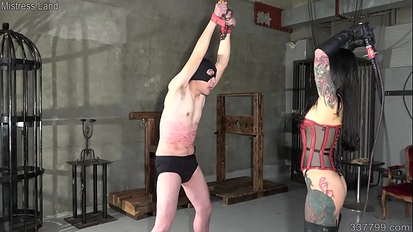 Download Video - MLDO-158 Perfect and Awaken Anal