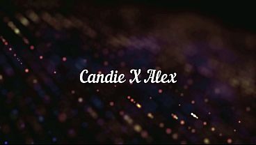 Mice will play when cat is away