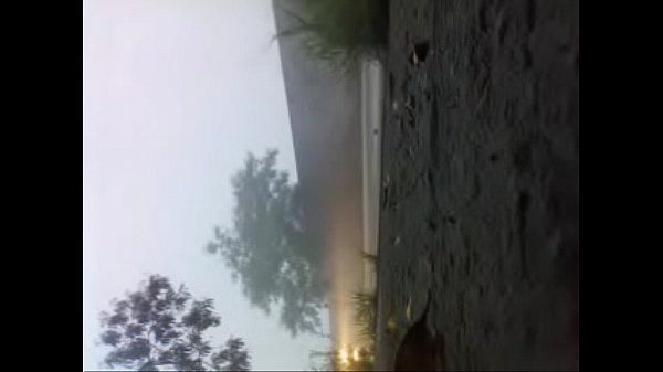 defilapotheigeandcatz101