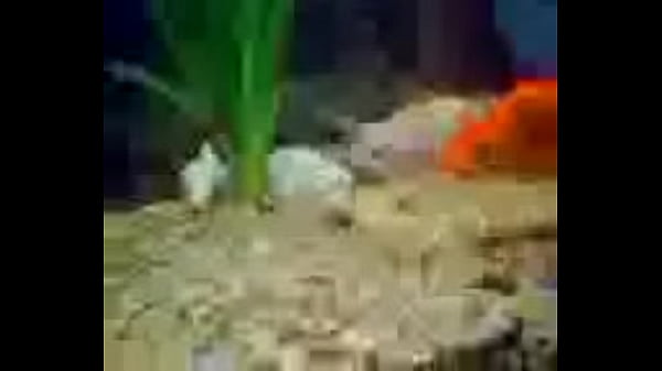 MOV0119A 0