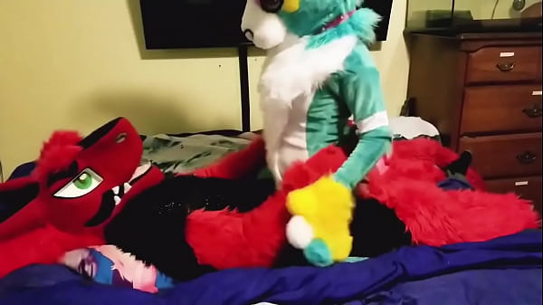 Furry bunny has sex with sergal